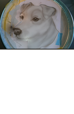 kleines Bild