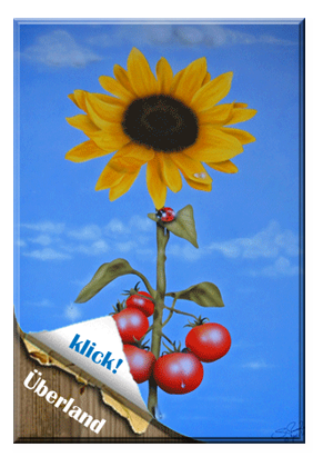 Airbrushbilder von Airbrush-SH in Schaffhausen